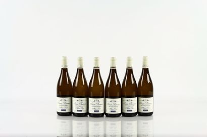 6 bouteilles de SAINT-ROMAIN Les Cinq Climats...