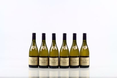 6 bouteilles de CHASSAGNE-MONTRACHET 1er...