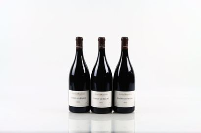 3 Magnums de CHOREY LES BEAUNE 2021 du Domaine...