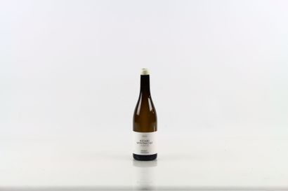 1 bouteille de BATARD-MONTRACHET 2020 du...