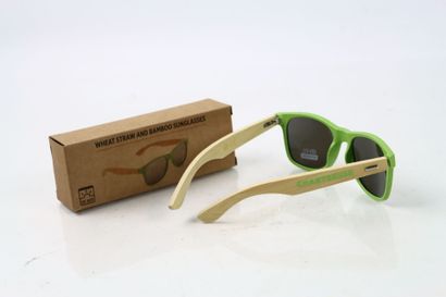 1 paire de Lunettes CHARTREUSE UV 400 dans...
