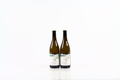 2 bouteilles de BOURGOGNE ALIGOTE En Coulezain...