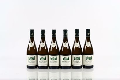 6 bouteilles de MEURSAULT Clos de Mazeray...