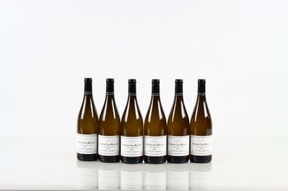 6 bouteilles de SAVIGNY-LES-BEAUNE Les Vieilles...