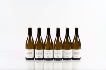 6 bouteilles de CHASSAGNE-MONTRACHET 1er...