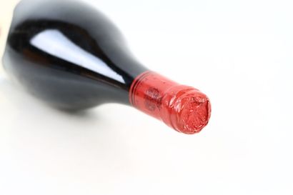 1 Magnum de CHAMBOLLE-MUSIGNY 1er Cru Les...