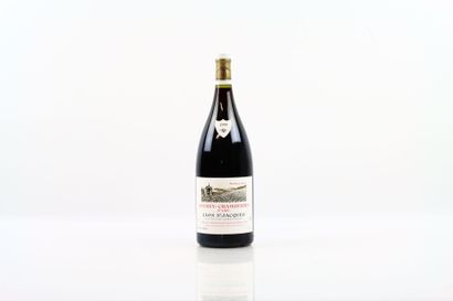 1 Magnum de GEVREY-CHAMBERTIN 1er Cru Clos...