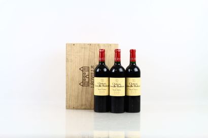 3 bouteilles de SAINT JULIEN 2010 du Château...