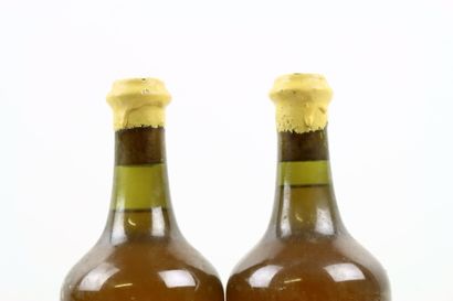 2 bouteilles de VIN JAUNE d'Arbois 1999 du...