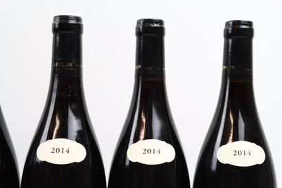 Verticale de 12 bouteilles de VOSNE-ROMANEE...