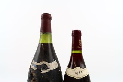 Réunion de 1 bouteille et 1 Magnum de CHAMBERTIN...