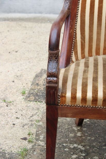 Set of two armchairs and two chairs in mahogany...