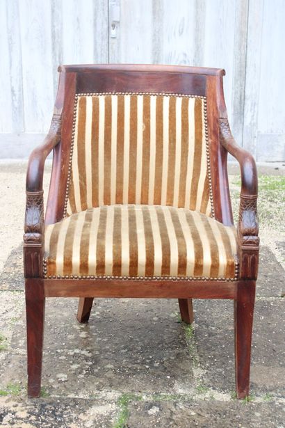 Set of two armchairs and two chairs in mahogany...