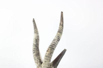 Gurunsi mask, Burkin Faso.
Carved wooden...