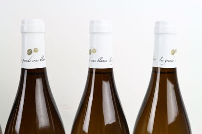 Réunion de 10 bouteilles du Mâconnais :
-...