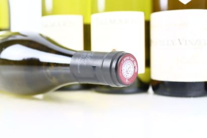 Réunion de 10 bouteilles du Mâconnais :
-...