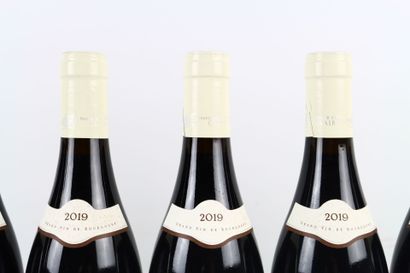 6 bouteilles de SANTENAY 1er Cru Clos De...