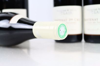 6 bouteilles de SANTENAY 1er Cru Clos De...