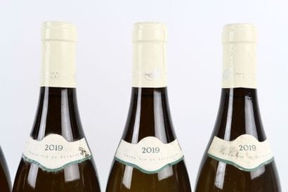 Réunion de 6 bouteilles de SAINT-AUBIN 1er...