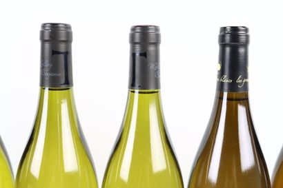 Réunion de 10 bouteilles du Mâconnais :
-...