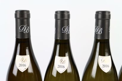 5 bouteilles de CHASSAGNE-MONTRACHET 1er...