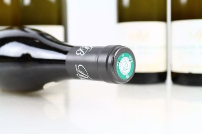 5 bouteilles de CHASSAGNE-MONTRACHET 1er...