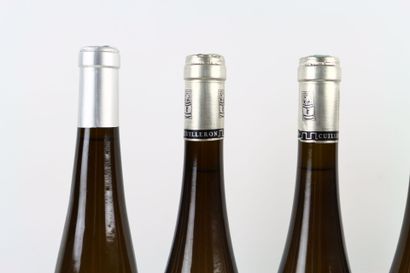 Réunion de 6 bouteilles de CONDRIEU :
- 5...