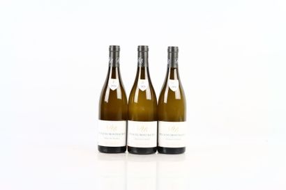 3 bouteilles de PULIGNY-MONTRACHET Vieilles...