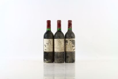 3 bouteilles de PAUILLAC 1983 du Château...