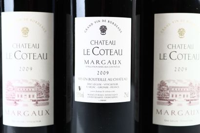12 bouteilles de MARGAUX 2009 du Château...