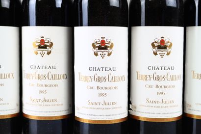 12 bouteilles de SAINT-JULIEN 1995 du Château...
