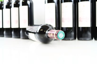 12 bouteilles de MARGAUX 2009 du Château...