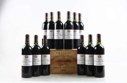 12 bouteilles de HAUT-MEDOC 2003 du Château...