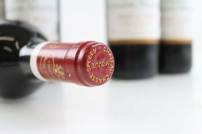 5 bouteilles de MOULIS EN MEDOC 1996 du Château...
