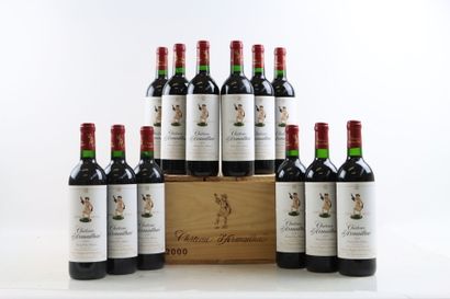 12 bouteilles de PAUILLAC 2000 du Château...