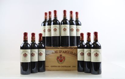 12 bouteilles de COTES DE CASTLLON 2005 du...