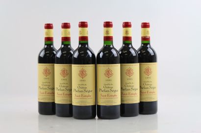 6 bouteilles de SAINT-ESTEPHE 1995 du Château...