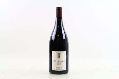 1 Magnum d'ECHEZEAUX En Orveaux 2020 du Domaine...