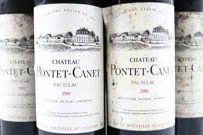 12 bouteilles de PAUILLAC 1981 du Château...