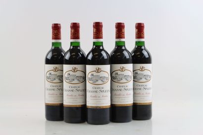 5 bouteilles de MOULIS EN MEDOC 1996 du Château...