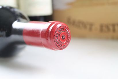 te
12 bouteilles de SAINT-ESTEPHE 1998 du...