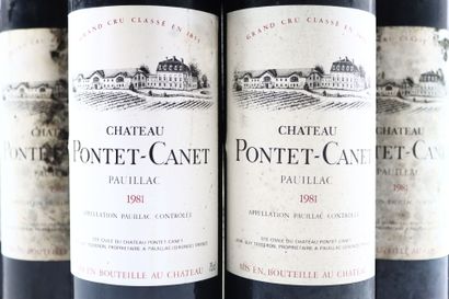 12 bouteilles de PAUILLAC 1981 du Château...