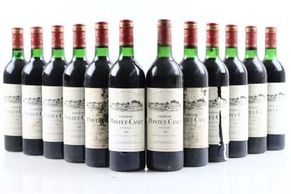 12 bouteilles de PAUILLAC 1981 du Château...