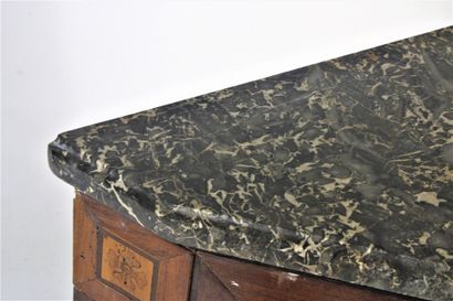 Exotic wood and fruitwood veneer inset, opening...