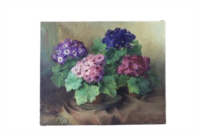 Julien STAPPERS (1875-1960)
Nature morte...
