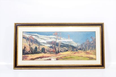 Pierre CALES (1870-1961)
Paysage de montagne
Huile...