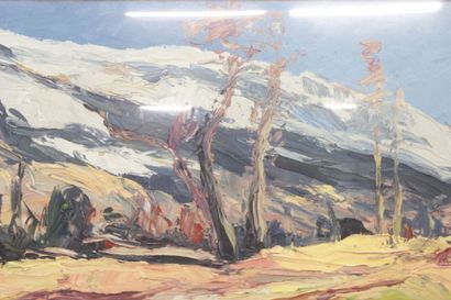 Pierre CALES (1870-1961)
Paysage de montagne
Huile...