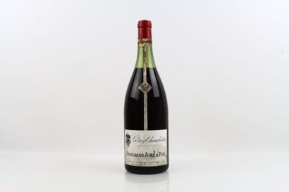 1 Magnum GEVREY-CHAMBERTIN 1955 from BOUCHARD...