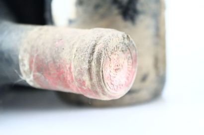 Reunion of 11 bottles of PAUILLAC from Château...