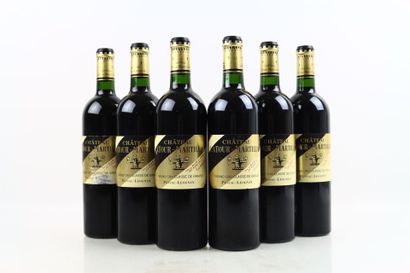 6 bottles of PESSAC-LEOGNAN 2008 from Château...